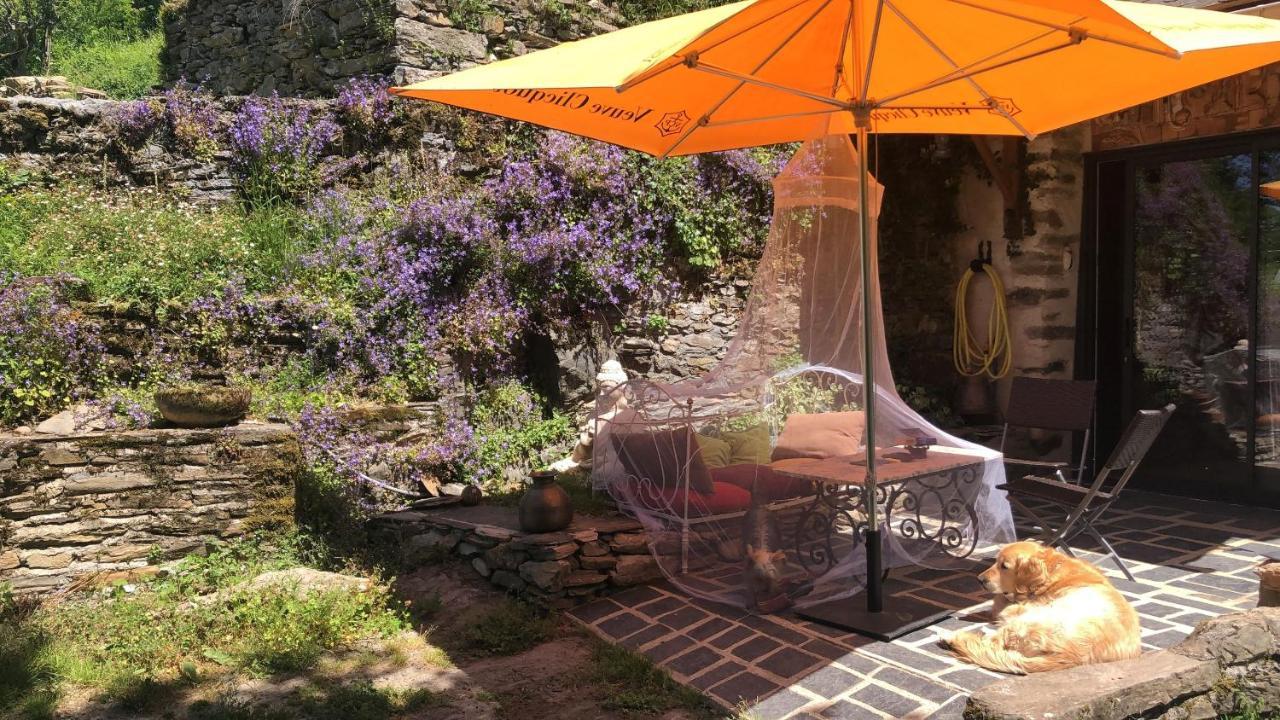 Gîte Terra Bosca Cambounes Esterno foto