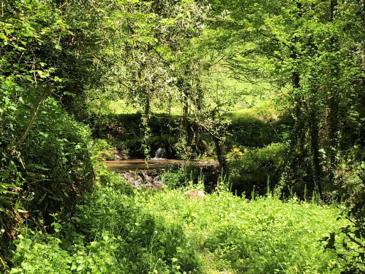 Gîte Terra Bosca Cambounes Esterno foto