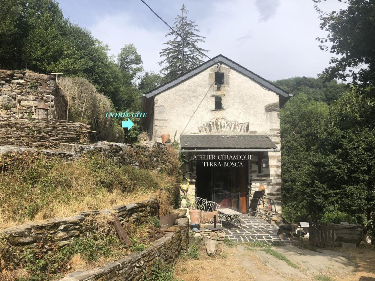 Gîte Terra Bosca Cambounes Esterno foto