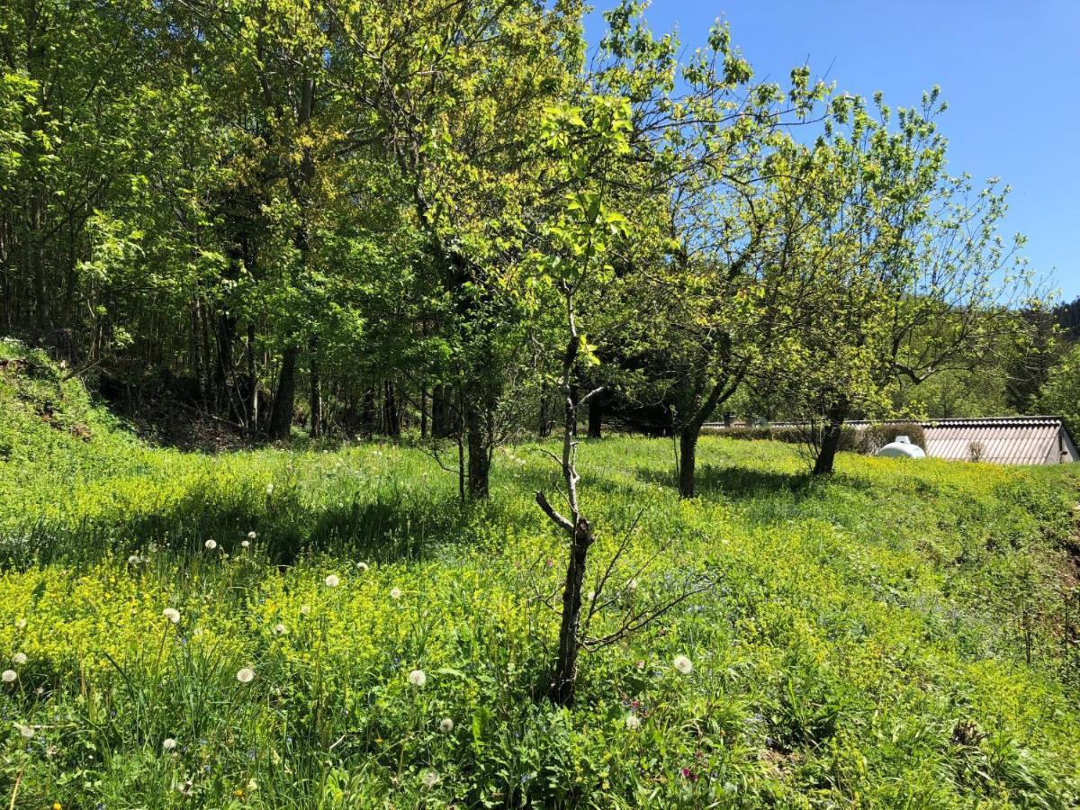Gîte Terra Bosca Cambounes Esterno foto