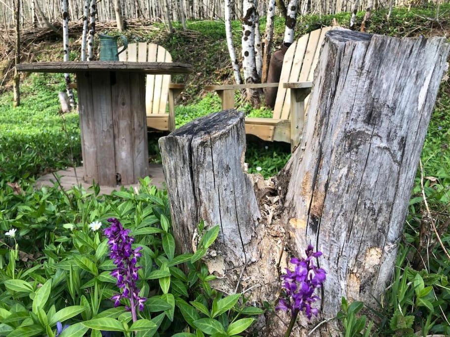 Gîte Terra Bosca Cambounes Esterno foto