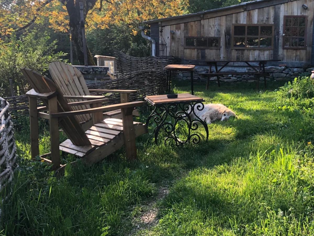 Gîte Terra Bosca Cambounes Esterno foto