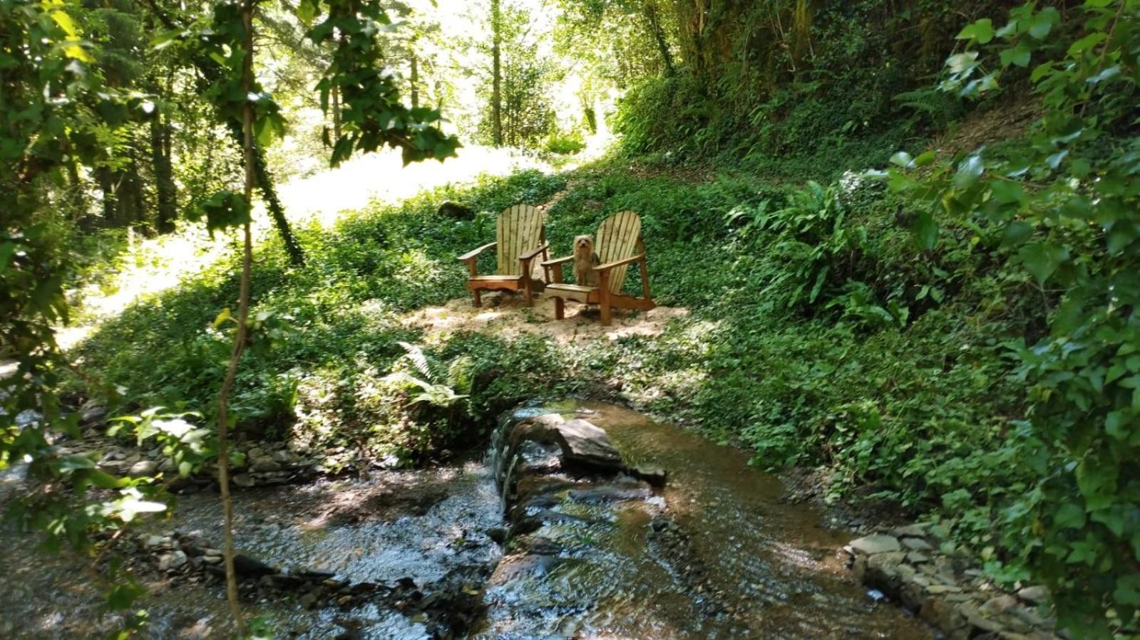 Gîte Terra Bosca Cambounes Esterno foto